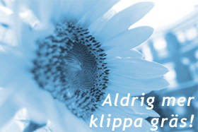Blomma